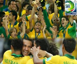 yapboz Brezilya, 2013 FIFA Konfederasyonlar Kupası şampiyonu